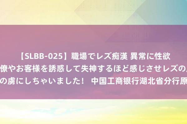 【SLBB-025】職場でレズ痴漢 異常に性欲の強い私（真性レズ）同僚やお客様を誘惑して失神するほど感じさせレズの虜にしちゃいました！ 中国工商银行湖北省分行原行长王芝斌被开除党籍