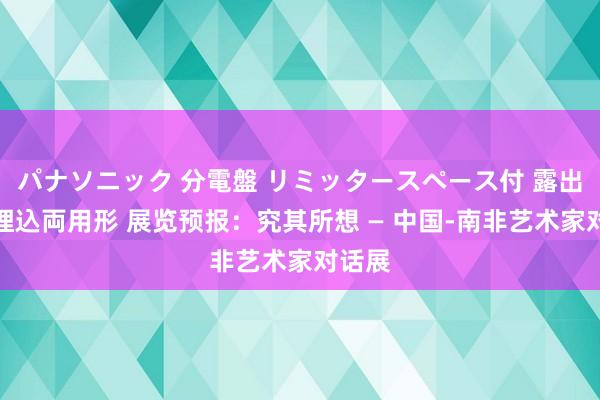 パナソニック 分電盤 リミッタースペース付 露出・半埋込両用形 展览预报：究其所想 — 中国-南非艺术家对话展