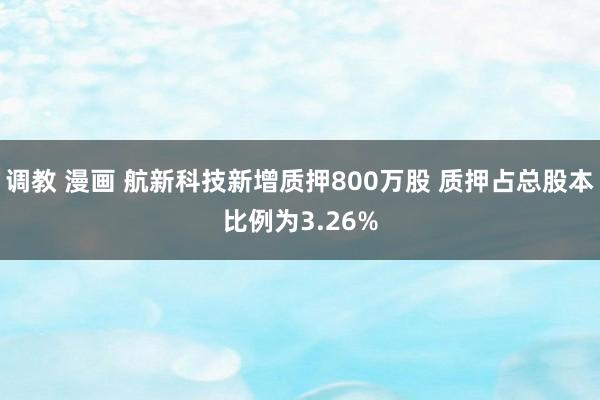 调教 漫画 航新科技新增质押800万股 质押占总股本比例为3.26%