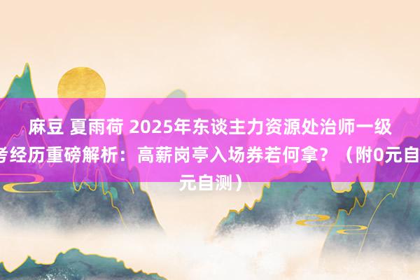 麻豆 夏雨荷 2025年东谈主力资源处治师一级报考经历重磅解析：高薪岗亭入场券若何拿？（附0元自测）