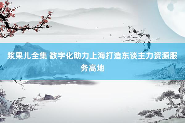 浆果儿全集 数字化助力上海打造东谈主力资源服务高地