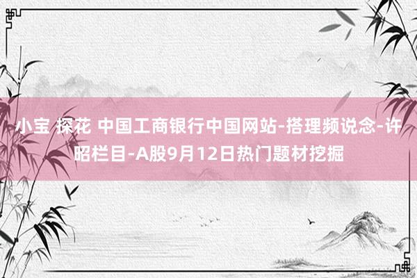 小宝 探花 中国工商银行中国网站-搭理频说念-许昭栏目-A股9月12日热门题材挖掘