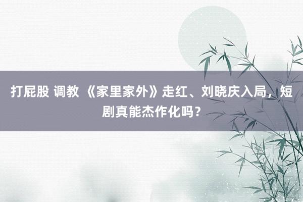 打屁股 调教 《家里家外》走红、刘晓庆入局，短剧真能杰作化吗？